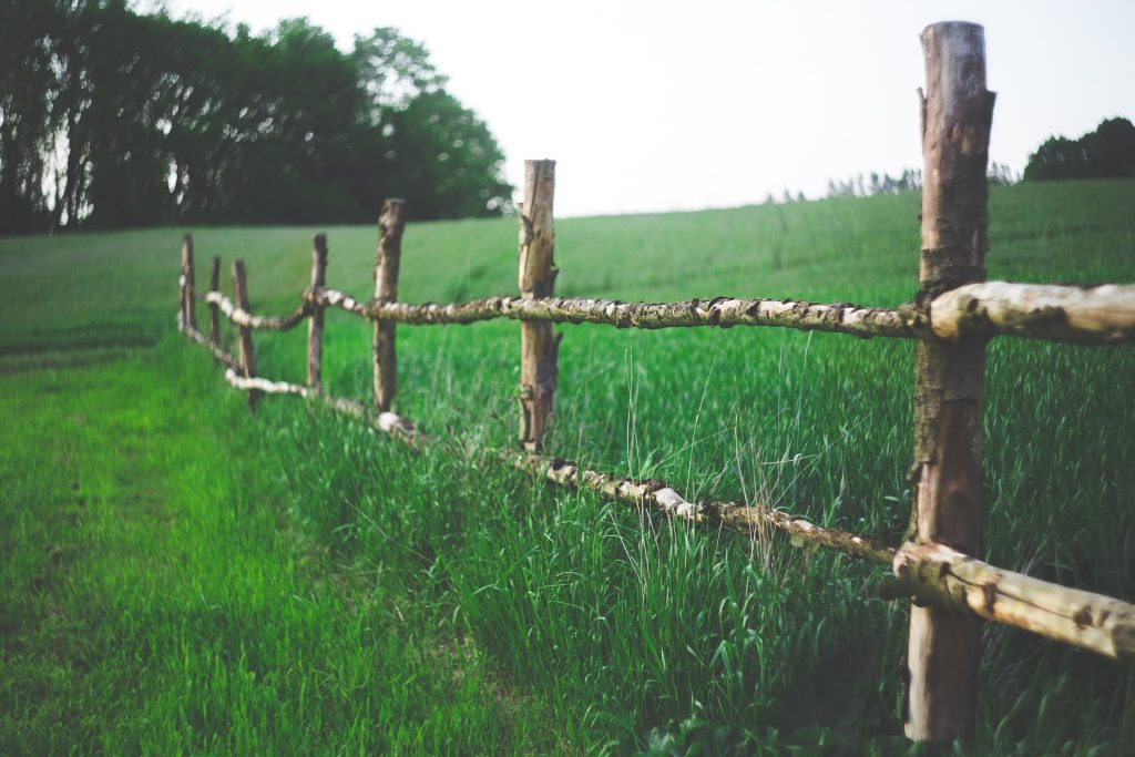 Constat plantations limite de propriété